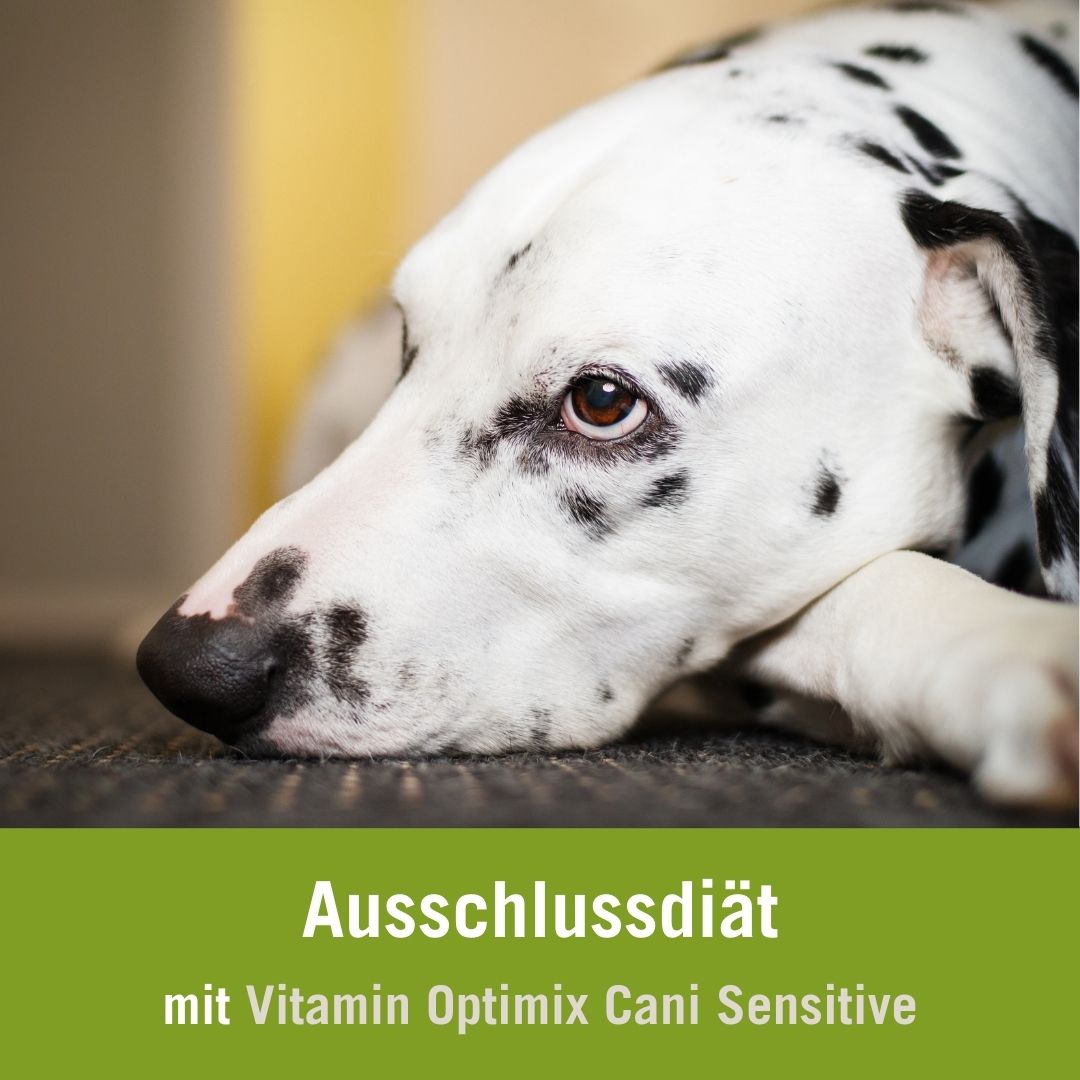 Auschlussdiät für Hunde | Vitamin Optimix Cani Sensitive