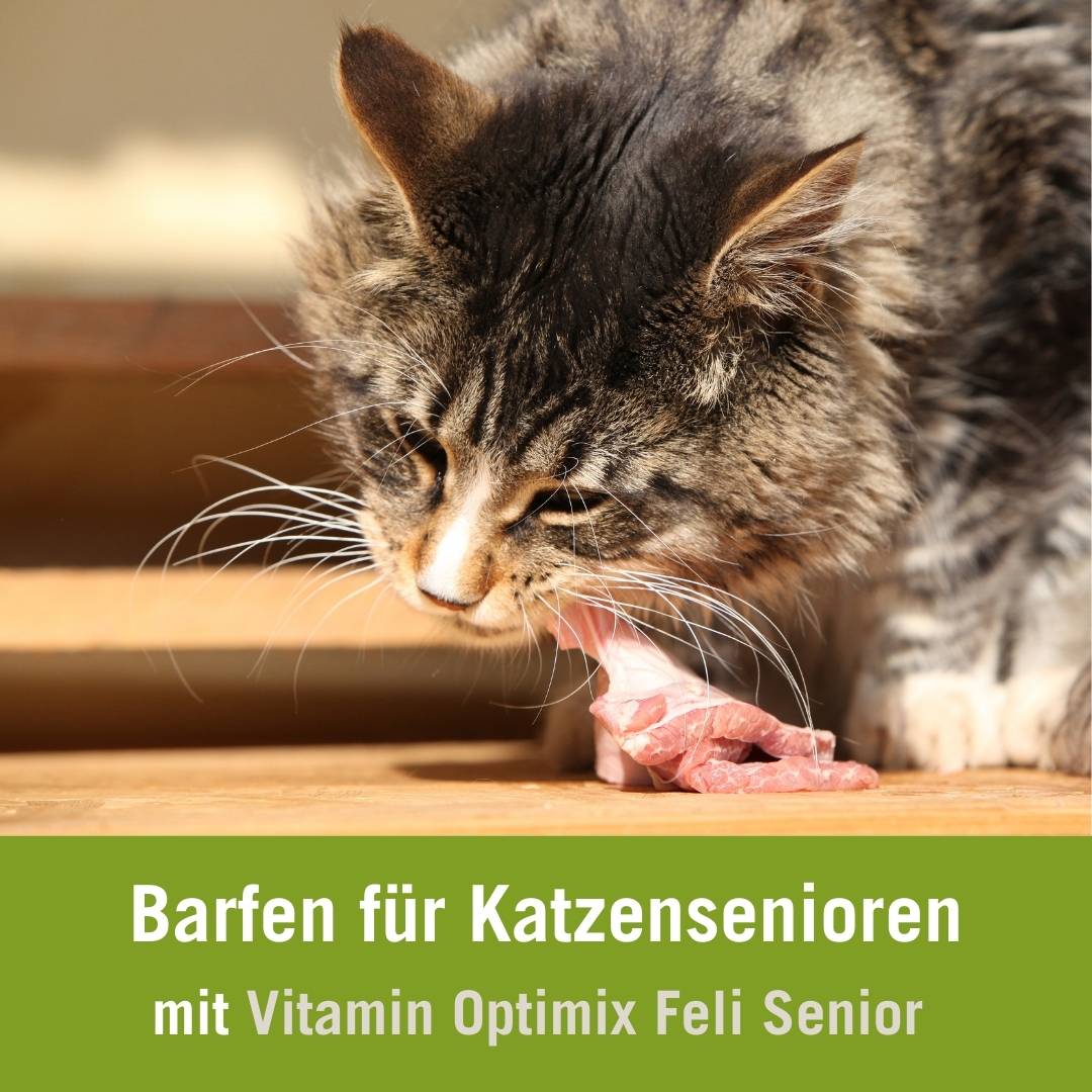 Barfen für Katzensenioren mit Vitamin Optimix Feli Senior