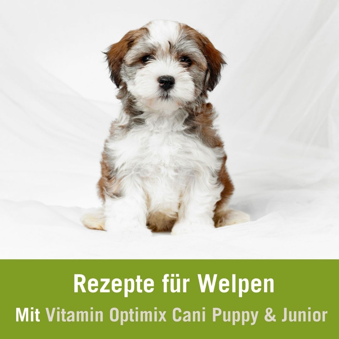 Futterplan für Welpen und Hunde im Wachstum mit Vitamin Optimix Cani Puppy & Junior