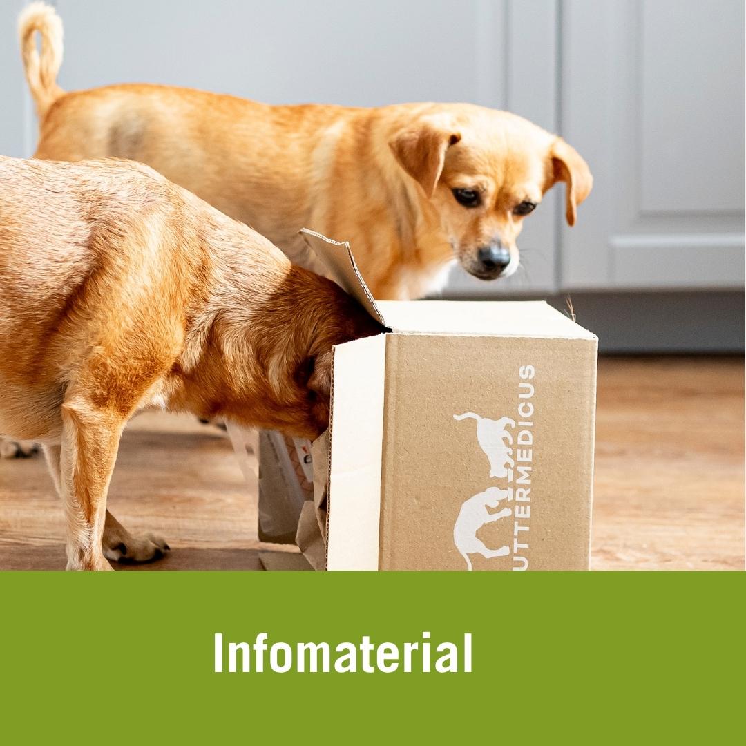 Infomaterial bestellen | zwei kleine braune Hunde gucken in einen Karton