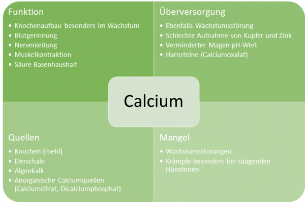 Steckbrief-Calcium